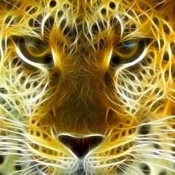 Profile Picture of Chandra Fernando (@chandra61466089) on Twitter