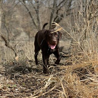 Ben Urich - Facebook Profile Picture of Ben Urich (@ben.urich.942) on Facebook