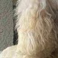 Profile Picture of Hope Maynard (@hope-maynard-8) on Quora