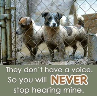 Profile Picture of Melissa A Jackson Lowder (@mjacksonlowder) on Facebook