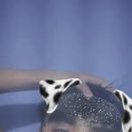 Profile Picture of Santiago Morey (@Santiago-Morey) on Facebook