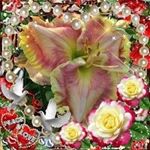 Profile Picture of Elaine Rector (@elaine.rector.7568) on Instagram