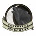 Profile Picture of Celestial Merchant (@BeCelestial) on Pinterest