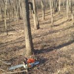 Michele Pizzolato - Instagram Profile Picture of Michele Pizzolato (@michele.pizzolato.69) on Instagram