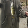 Profile Picture of jacobbode65 (@jacobbode65) on Tiktok
