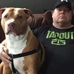 Profile Picture of David Carberry (@david.carberry.92) on Instagram