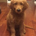 Profile Picture of Stanley Milton Kisner-Klein (@stanleymkk) on Instagram