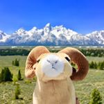 Profile Picture of 秋凉无我 (@hank.huang86) on Instagram