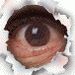 Profile Picture of Paul Whitehead (@paulwhitehead10) on Pinterest
