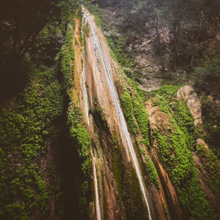 Profile Picture of Jeremy.Gould (@jeremy.gould) on Tiktok