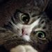 Profile Picture of Beau Keith (@bkeith2028) on Pinterest