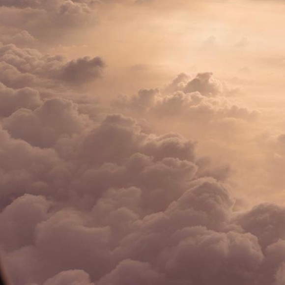 Profile Picture of Cecilia Guiliani (@cguiliani) on Poshmark