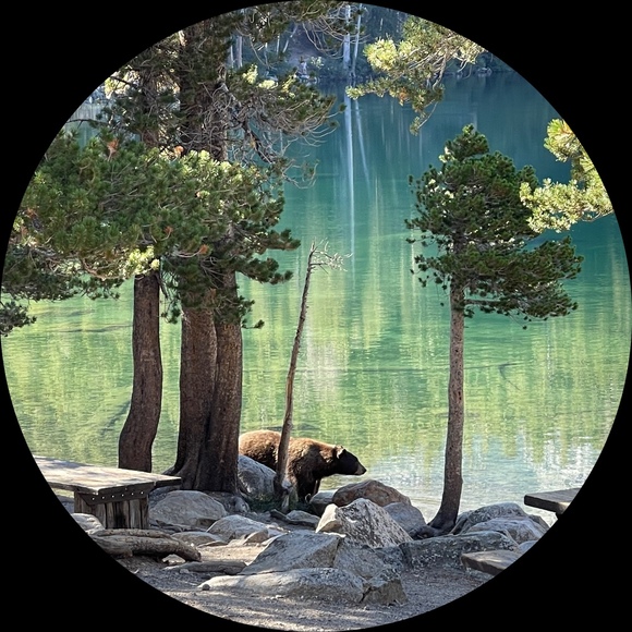 Profile Picture of Richard Takata (@wineguy512) on Poshmark