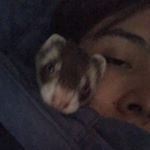 yurd - Instagram Profile Picture of yurd (@orn_stein) on Instagram