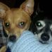Profile Picture of Shirley McGrath (@shirley.mcgrath.9003) on Facebook