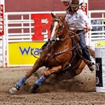 Profile Picture of Morgan Keiser (@momo_vollyeball) on Instagram