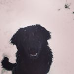 Profile Picture of Julia_Rowles (@juliaannrowles) on Instagram