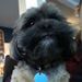 Profile Picture of Matthew Overholt (@moverholt25) on Pinterest