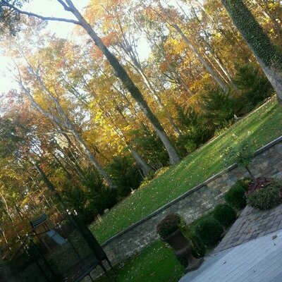 Profile Picture of Hannah Schade (@hannah_schade) on Twitter