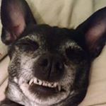 Profile Picture of Suzanne Schaffner Bryer (@slsbryer) on Instagram