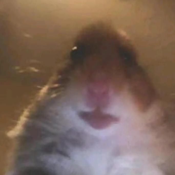 Profile Picture of Paul Krummel (@paulkrummelinio) on Tiktok