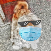 Profile Picture of Anderson Cabrera (@andersoncabrera8215) on Youtube