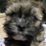 jesseorchard - Instagram Profile Picture of jesseorchard (@jesseorchard) on Instagram