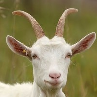 Profile Picture of Tony Snell (@tony-snell-5) on Quora