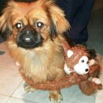 Profile Picture of david nicolas sittner (@davidnicolassittner) on Instagram