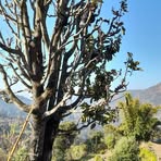 Profile Picture of Crystal Branch (@crystal.branch.113897) on Facebook