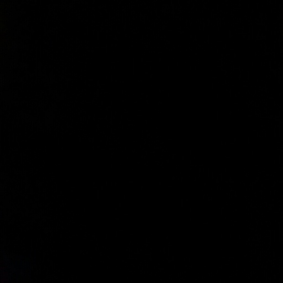 Profile Picture of Douglas Herrera (@dognruth1) on Poshmark