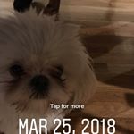 Profile Picture of Matthew Schei (@matthewschein2019) on Instagram