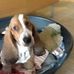 Profile Picture of Victor Husted (@victor.husted.9) on Facebook