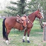 Profile Picture of Myrna Anderson (@pistolnannie) on Instagram