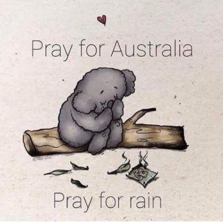 Emir Mujkanovic - Facebook Profile Picture of Emir Mujkanovic (@emir.mujkanovic.583) on Facebook