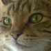 Profile Picture of Carl Pedley (@carl.pedley.9) on Facebook