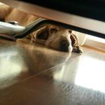 Profile Picture of Ana Maria Ramilo Rocha (@anamariaramilorocha) on Instagram