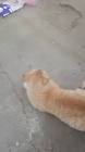 Profile Picture of   TikTok de Mario Zamora... (@mariozamoralopez) on Tiktok