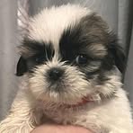 Profile Picture of Philipa Winter (@philipa.winter) on Facebook