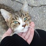 Profile Picture of 𝓑𝓪𝓱𝓲𝔂𝔂𝓪𝓱 𝓫𝓲𝓷𝓽 𝓶𝓾𝓱𝓪𝓶𝓶𝓪𝓭 (@yabahiyyah) on Instagram