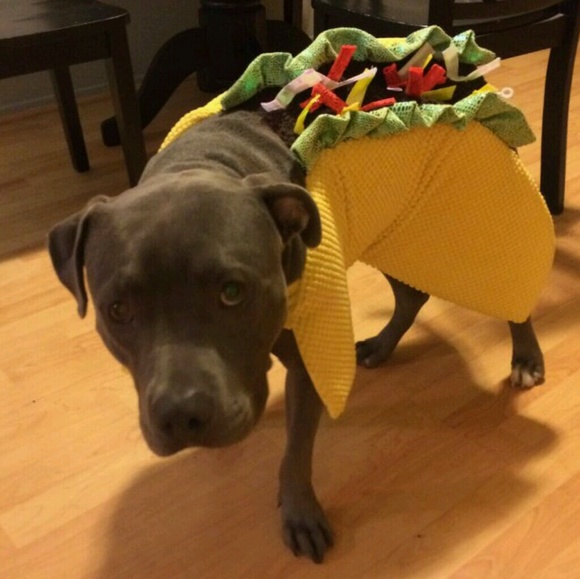 Profile Picture of Nido Nido (@nido_) on Poshmark