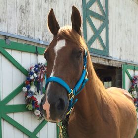 Profile Picture of Alex Orrel (@aorrel) on Pinterest