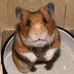 Profile Picture of Hilary Stoner (@hilary.stoner.31) on Facebook