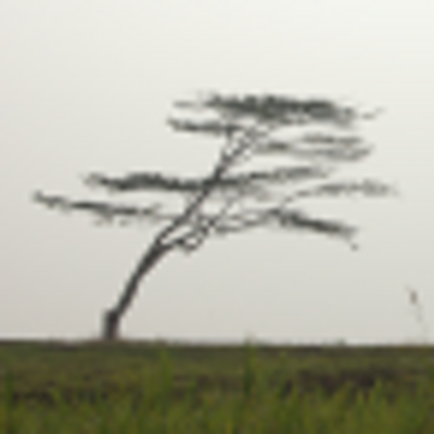 Profile Picture of Jeremy Yoo (@jeryoo) on Twitter