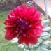 Profile Picture of Anand Sinha (@anandsinha14) on Twitter
