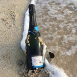 Profile Picture of Champagne Joël Thierry (@champagnejoelthierry) on Instagram