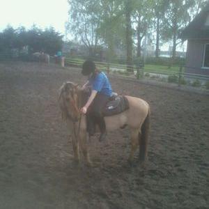 Profile Picture of Paula Hemmings (@Hemmings_Paula) on Twitter