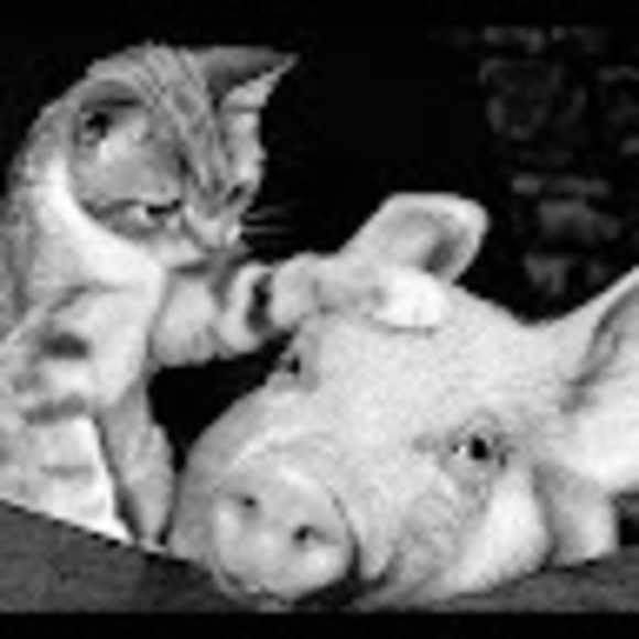 Profile Picture of Adriana Collier (@anacollier88) on Poshmark