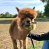 Profile Picture of Daniel Rehberger (@@danielrehberger) on Tiktok