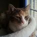 Profile Picture of Anne Clements (@abbgma) on Pinterest
